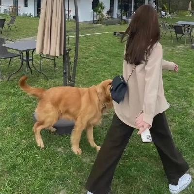 我们那微不足道的落幕